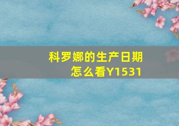 科罗娜的生产日期怎么看Y1531