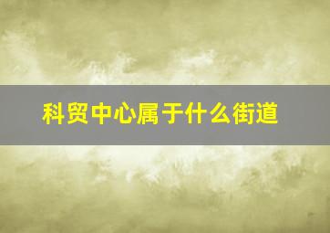 科贸中心属于什么街道