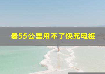 秦55公里用不了快充电桩