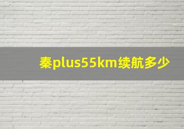 秦plus55km续航多少