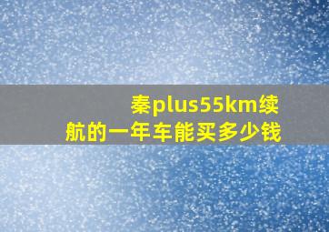 秦plus55km续航的一年车能买多少钱