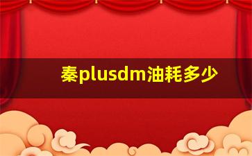 秦plusdm油耗多少