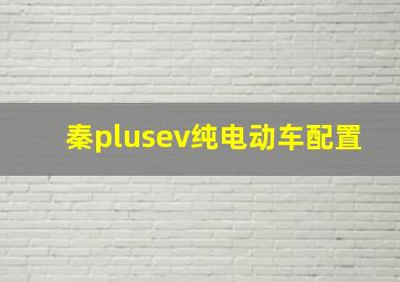 秦plusev纯电动车配置