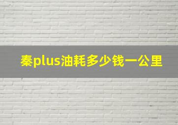 秦plus油耗多少钱一公里