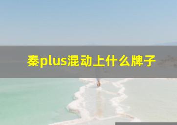 秦plus混动上什么牌子