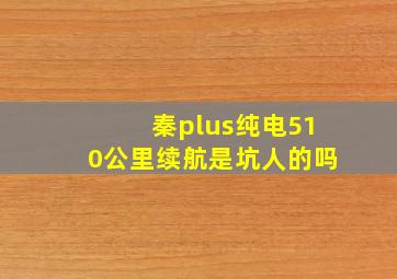 秦plus纯电510公里续航是坑人的吗