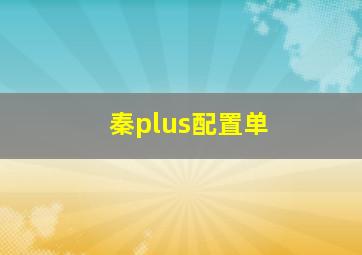 秦plus配置单