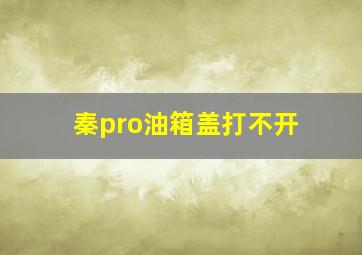 秦pro油箱盖打不开