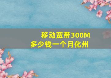 移动宽带300M多少钱一个月化州