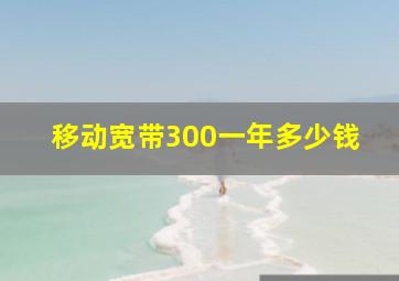 移动宽带300一年多少钱