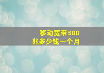 移动宽带300兆多少钱一个月