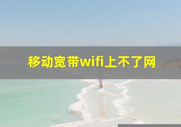 移动宽带wifi上不了网