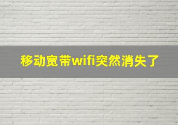 移动宽带wifi突然消失了