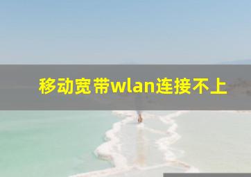 移动宽带wlan连接不上