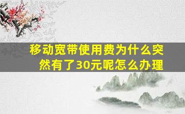 移动宽带使用费为什么突然有了30元呢怎么办理