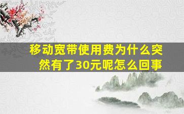 移动宽带使用费为什么突然有了30元呢怎么回事