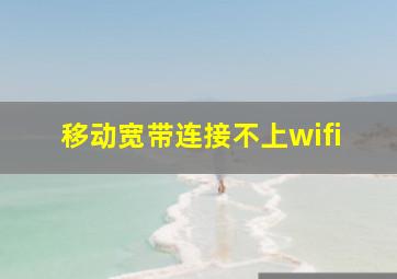 移动宽带连接不上wifi