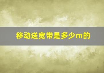 移动送宽带是多少m的