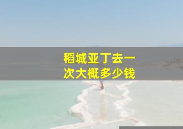 稻城亚丁去一次大概多少钱