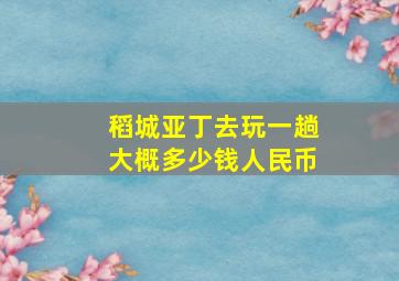 稻城亚丁去玩一趟大概多少钱人民币