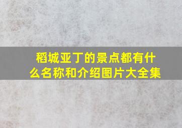 稻城亚丁的景点都有什么名称和介绍图片大全集