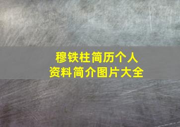 穆铁柱简历个人资料简介图片大全