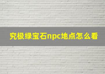 究极绿宝石npc地点怎么看