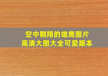 空中翱翔的雄鹰图片高清大图大全可爱版本