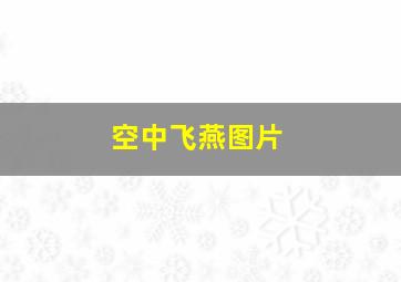 空中飞燕图片