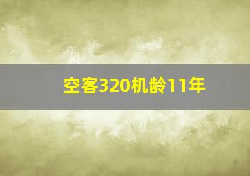 空客320机龄11年