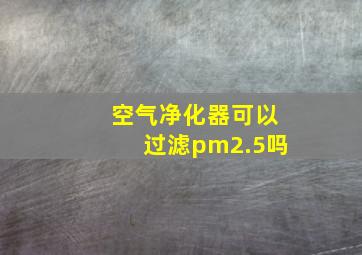 空气净化器可以过滤pm2.5吗