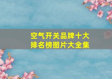 空气开关品牌十大排名榜图片大全集