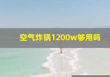 空气炸锅1200w够用吗