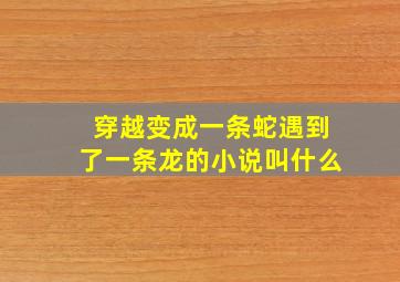 穿越变成一条蛇遇到了一条龙的小说叫什么