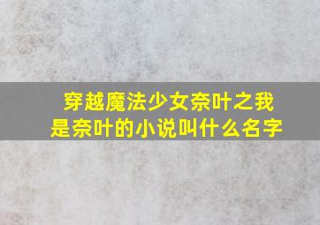 穿越魔法少女奈叶之我是奈叶的小说叫什么名字