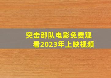 突击部队电影免费观看2023年上映视频