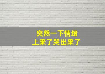 突然一下情绪上来了哭出来了