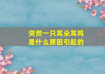 突然一只耳朵耳鸣是什么原因引起的