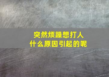 突然烦躁想打人什么原因引起的呢