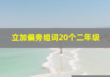 立加偏旁组词20个二年级