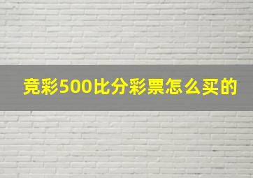 竞彩500比分彩票怎么买的