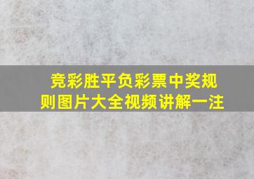 竞彩胜平负彩票中奖规则图片大全视频讲解一注