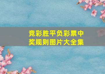 竞彩胜平负彩票中奖规则图片大全集