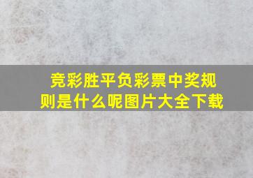 竞彩胜平负彩票中奖规则是什么呢图片大全下载