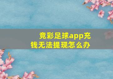 竞彩足球app充钱无法提现怎么办