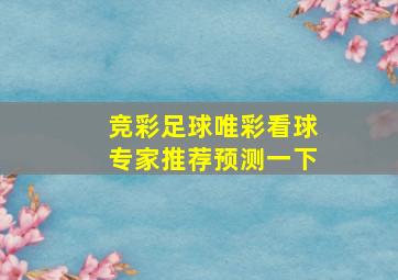 竞彩足球唯彩看球专家推荐预测一下