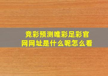 竞彩预测唯彩足彩官网网址是什么呢怎么看