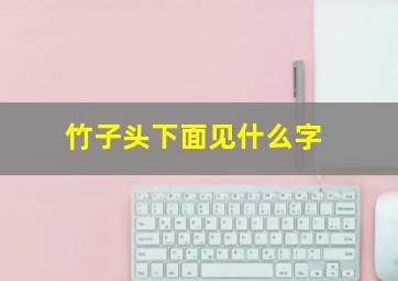 竹子头下面见什么字