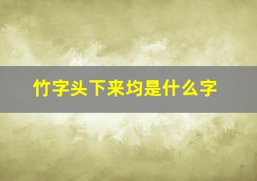 竹字头下来均是什么字