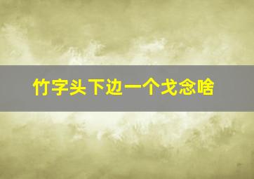 竹字头下边一个戈念啥